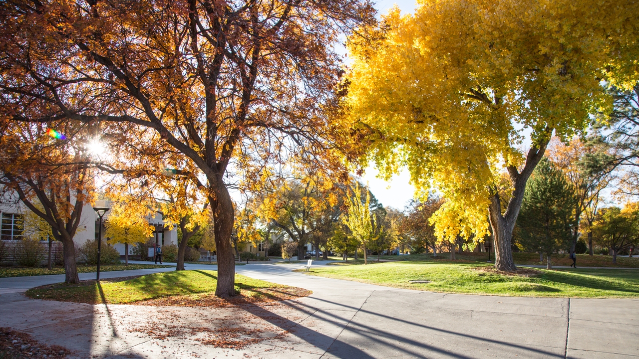 UNM plans for end of fall semester, spring term | UNM UCAM Newsroom